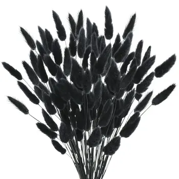 100db természetes fekete nyuszi farok szárított virágok parasztház virágkötészet, Lagurus ovatus, pampas fű dekoráció esküvői kézművességhez