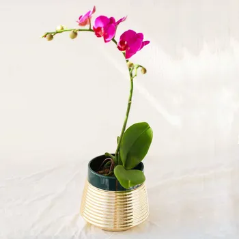Kreatív könnyű luxus fém virágcserép kerámia cserepes arany zamatos kaktusz növény virágcserép erkély kert lakberendezés